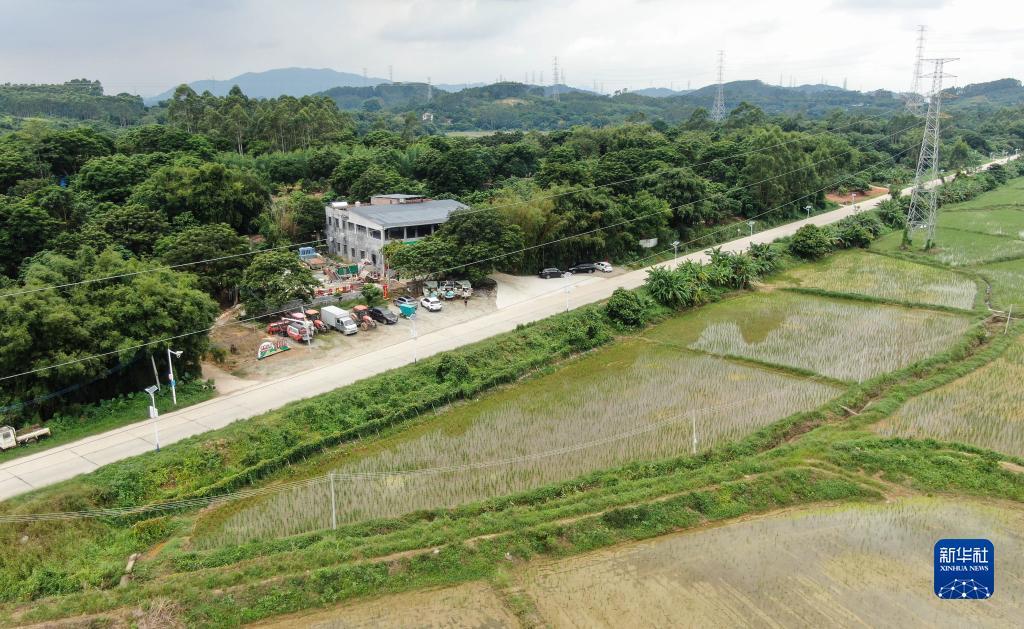 奥门赌博大小